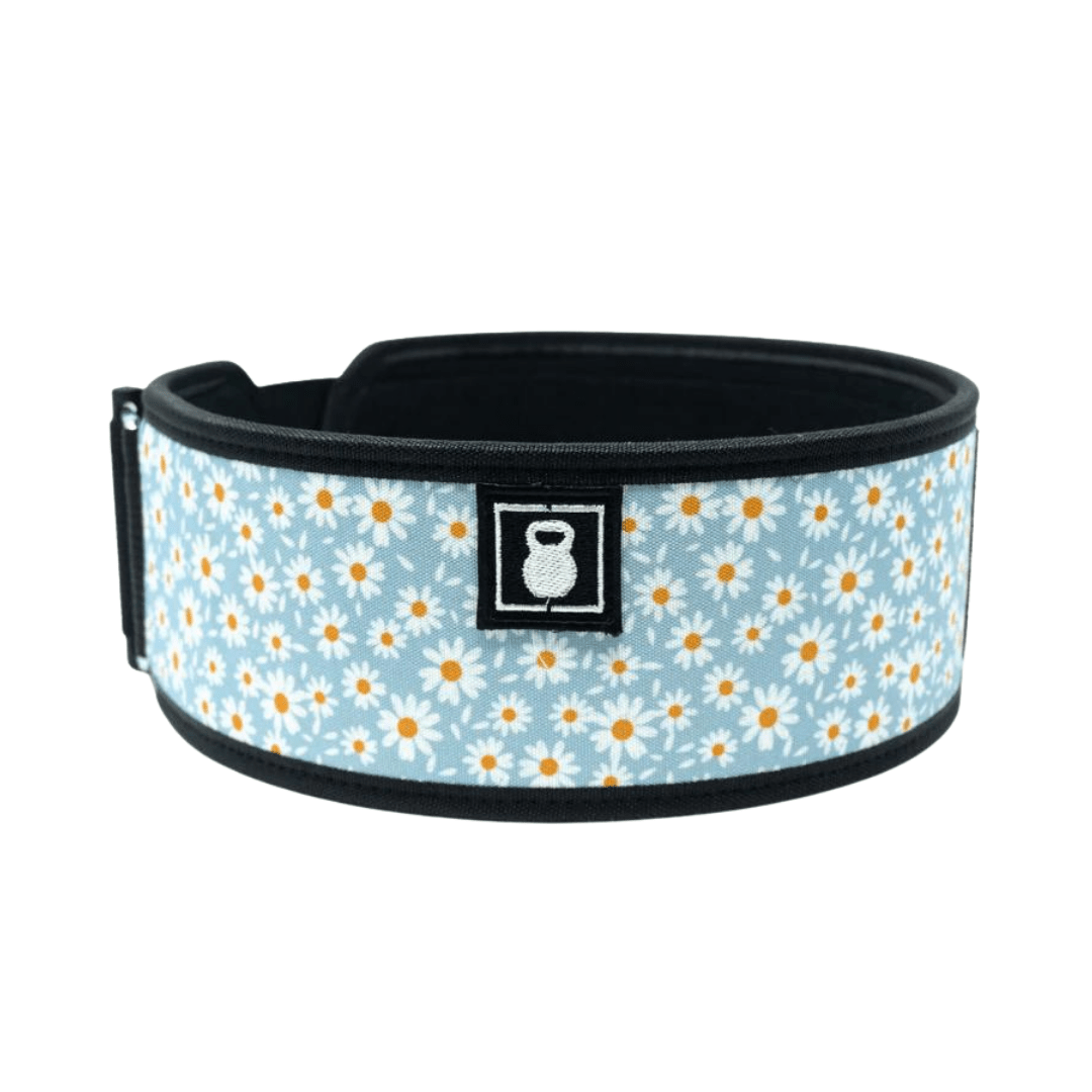 Daisies by Tasia Percevecz 4" Weightlifting Belt - 2POOD